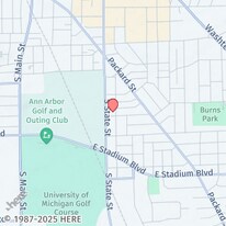 717 Dewey Ave in Ann Arbor, MI - Building Photo