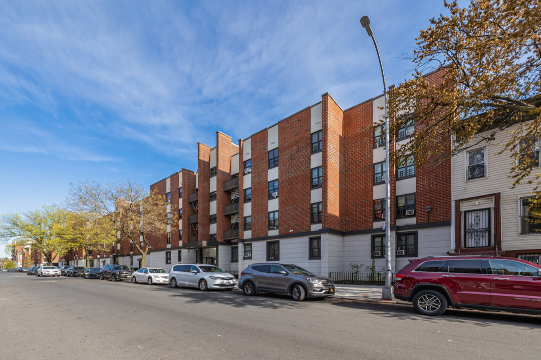 356 Lexington Ave in Brooklyn, NY - Building Photo