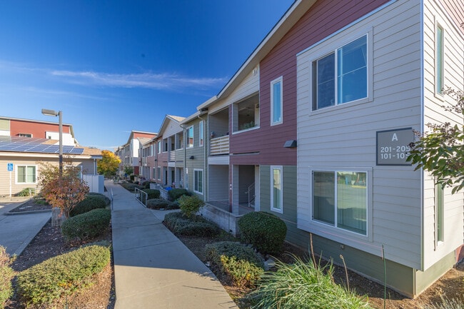 Trailside Terrace in Shingle Springs, CA - Building Photo - Building Photo