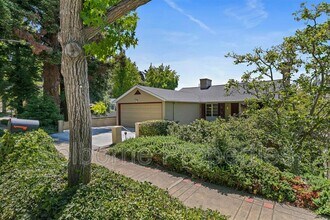 25 Selborne Dr in Piedmont, CA - Building Photo - Building Photo