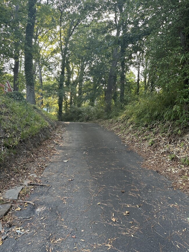 1517 N Roxboro St in Durham, NC - Building Photo - Building Photo