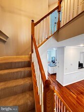 13 Fire Princess Ct in Rockville, MD - Building Photo - Building Photo