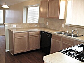 10410 Falling Rapids Ct in Houston, TX - Building Photo - Building Photo