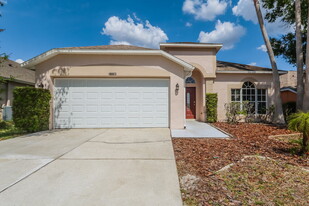 18003 Misty Blue Ln in Tampa, FL - Building Photo