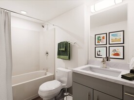 The Accolade on Chestnut