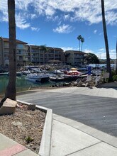 4519 Cove Dr in Carlsbad, CA - Building Photo - Building Photo