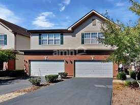 1350 W Crane View Ct in Round Lake, IL - Building Photo