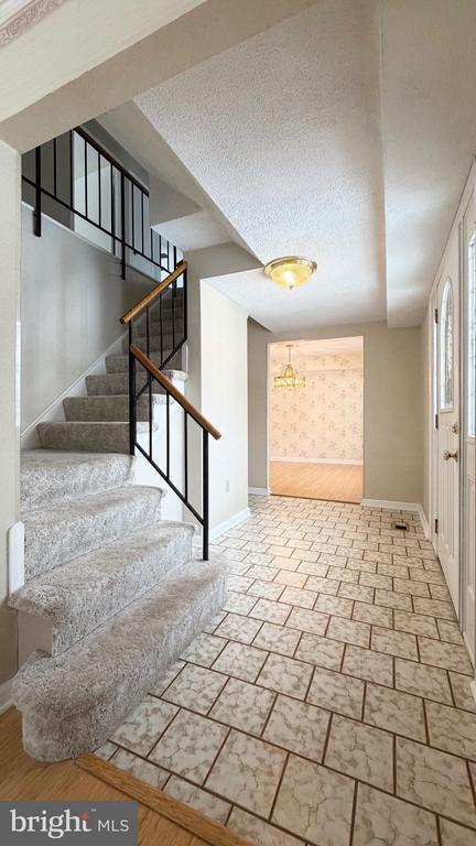 4325 Majestic Ln in Fairfax, VA - Building Photo - Building Photo