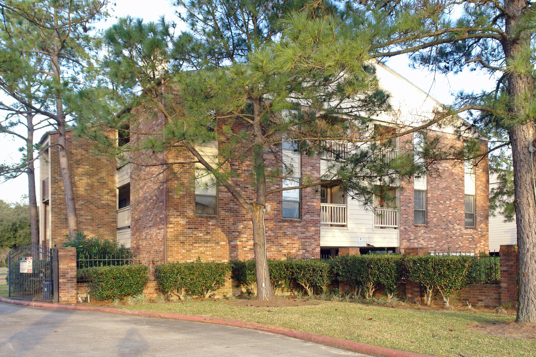 Ponderosa Forest Condo Photo