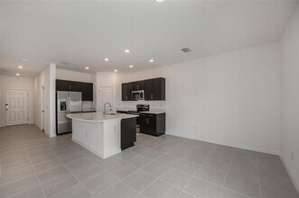 34195 Polacca Ln in Wesley Chapel, FL - Building Photo - Building Photo