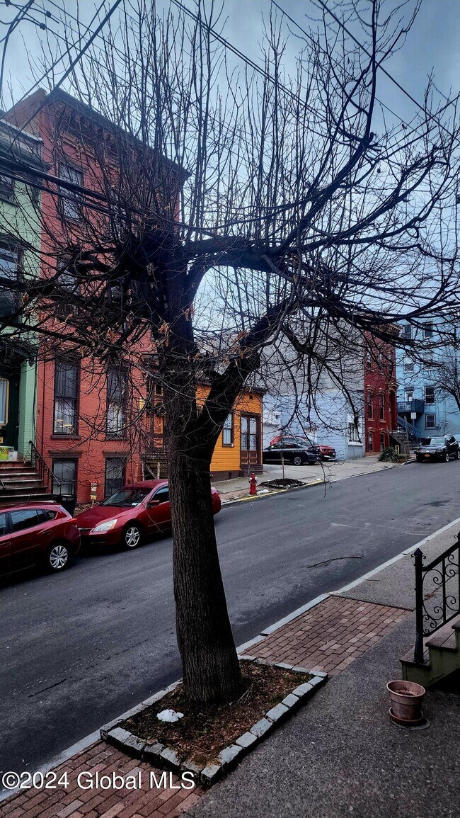 11 Elm St-Unit -Apt 2 in Albany, NY - Building Photo - Building Photo