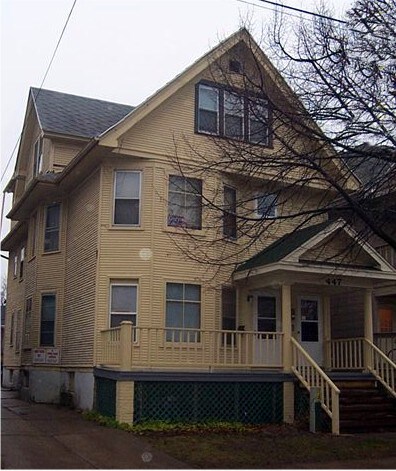 447 W Mifflin St, Unit 1 in Madison, WI - Building Photo