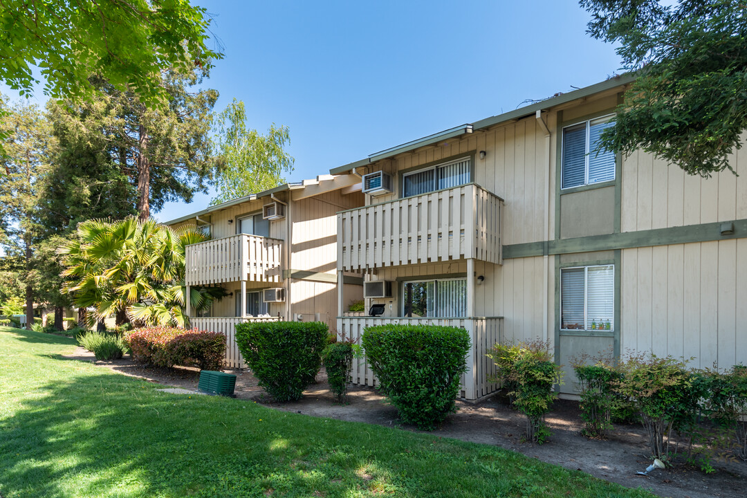 Oakview Apartments in Concord, CA - Building Photo