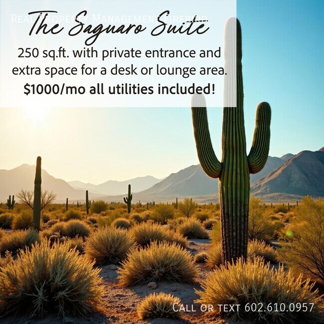 15 N Ashland in Mesa, AZ - Building Photo - Building Photo