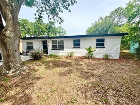 1135 7th St N in Safety Harbor, FL - Building Photo