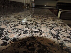 213 Southgate Dr in Crestview, FL - Building Photo - Building Photo