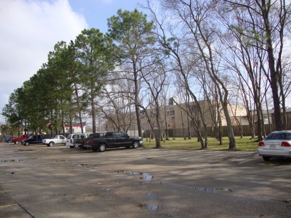 River Pines in Baton Rouge, LA - Foto de edificio