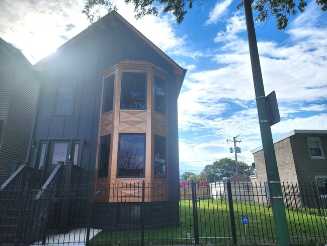 243 W Swann St in Chicago, IL - Building Photo - Building Photo