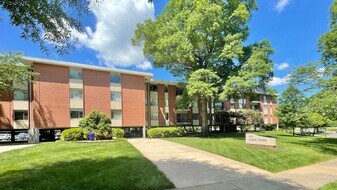 1300 Queens Rd in Charlotte, NC - Building Photo