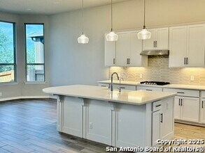 1567 Terrys Gate Rd in New Braunfels, TX - Building Photo - Building Photo