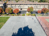 The Terraces in Hollister, CA - Foto de edificio - Building Photo