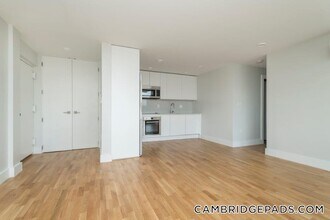 334 Harvard St, Unit K6 in Cambridge, MA - Building Photo - Building Photo