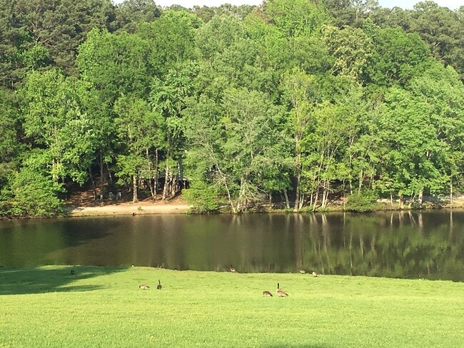 224 Hanover Pl in Cary, NC - Building Photo - Building Photo