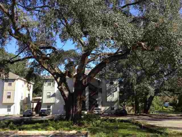 500 McKeithen St in Tallahassee, FL - Building Photo - Building Photo