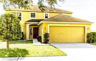 10437 River Bream Dr in Riverview, FL - Building Photo