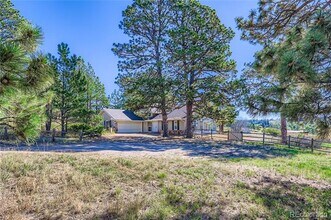 11218 Ponderosa Ln in Franktown, CO - Building Photo - Building Photo
