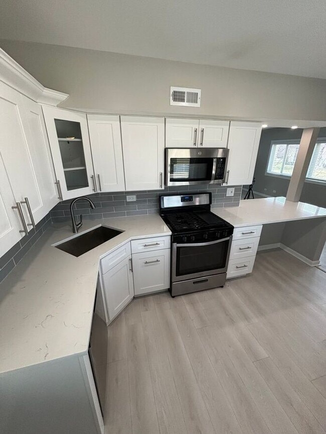 639 W Park Ave in Libertyville, IL - Building Photo - Building Photo