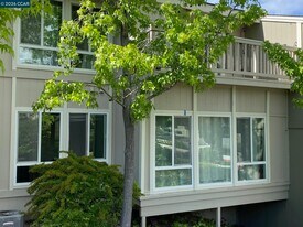 438 Ridgeview Dr in Pleasant Hill, CA - Building Photo