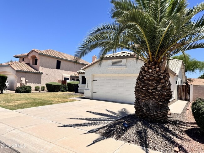 1461 S Cholla Pl in Chandler, AZ - Building Photo - Building Photo