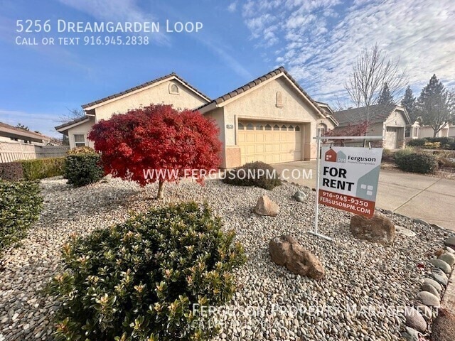 5256 Dreamgarden Loop
