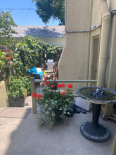 522-522 N Rossmore Ave in Los Angeles, CA - Building Photo - Building Photo