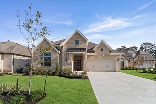 355 Wild Frk Ct in Conroe, TX - Building Photo