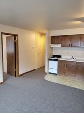 436 E Main St, Unit E in Plymouth, WI - Building Photo - Building Photo
