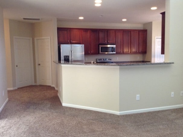 14314 Pintail Landing Ln in Charlotte, NC - Building Photo - Building Photo
