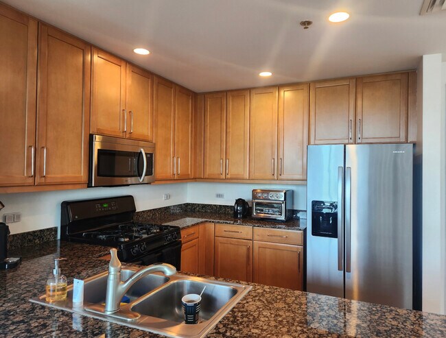 250 E Pearson St in Chicago, IL - Building Photo - Building Photo