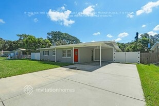 909 Skyview Dr in Brandon, FL - Building Photo