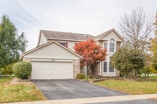 539 Springwood Ln in Bolingbrook, IL - Building Photo