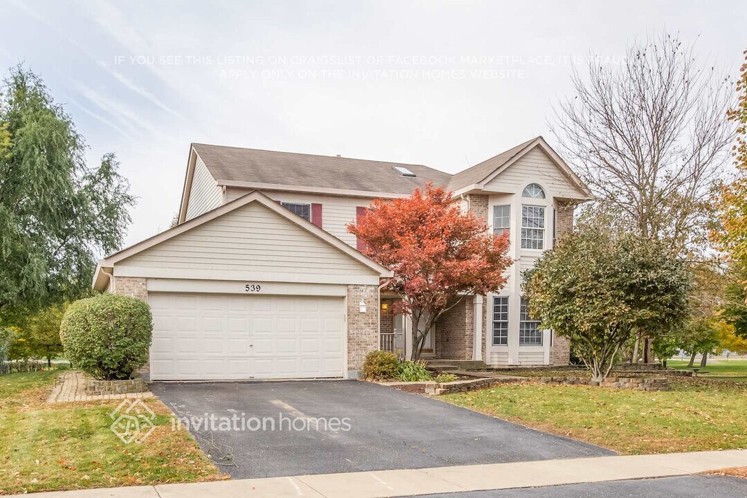 539 Springwood Ln in Bolingbrook, IL - Building Photo