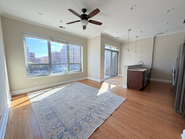 1002 W Van Buren St in Chicago, IL - Building Photo - Building Photo