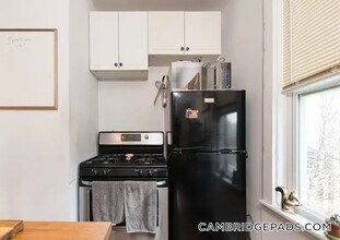 2 Hampshire Ct, Unit 2 in Cambridge, MA - Building Photo - Building Photo