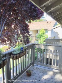 2560 Walnut Blvd photo'