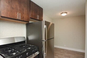 525 W Surf St, Unit A07W in Chicago, IL - Building Photo - Building Photo