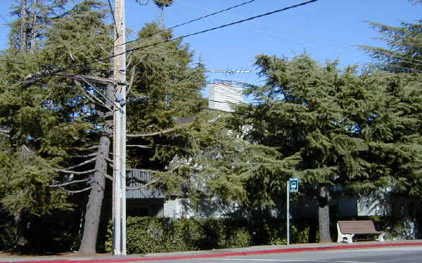 Cedars Apartments in Los Altos Hills, CA - Building Photo