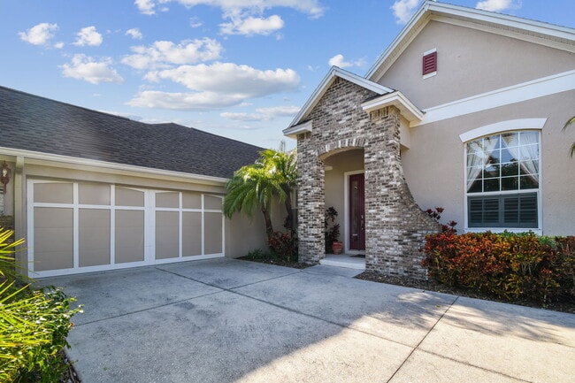 11909 Mandevilla Ct in Tampa, FL - Building Photo - Building Photo