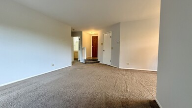 1501 Raymond Dr in Naperville, IL - Building Photo - Building Photo