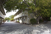 343 Willow St in San Jose, CA - Foto de edificio - Building Photo